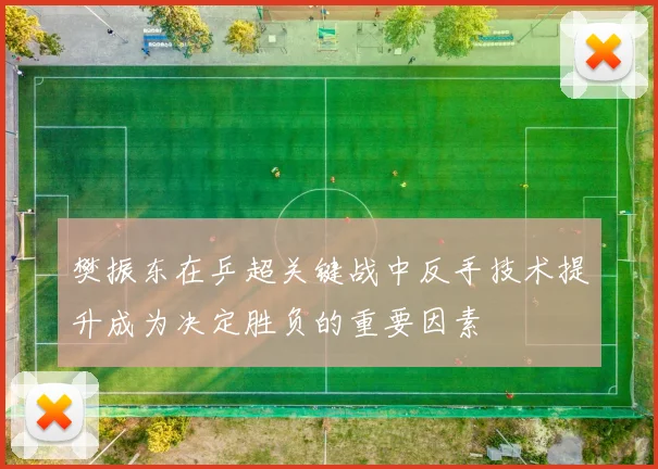 樊振东在乒超关键战中反手技术提升成为决定胜负的重要因素
